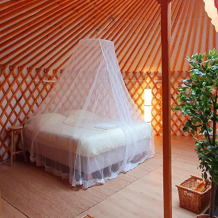 Zonnehuis Unieke Kamers Aan Het Bos - Sauna En Zwembad Aanwezig Bed & Breakfast *