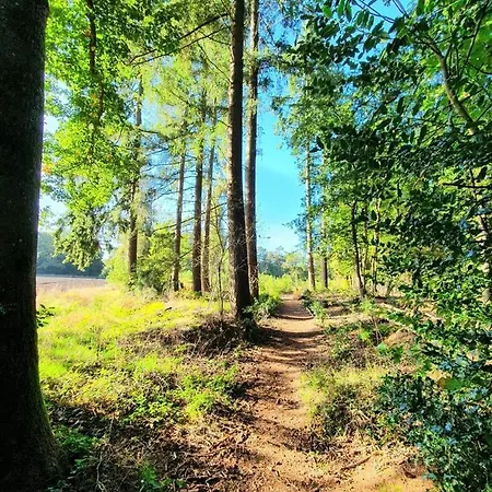 Bed & Breakfast Zonnehuis Unieke Kamers Aan Het Bos - Sauna En Zwembad Aanwezig Loenen